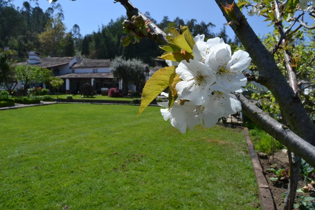 Quintal De Alem Do Ribeiro-Turismo Rural Lousa  Bagian luar foto