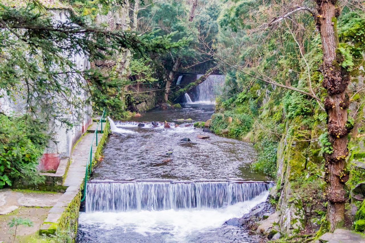 Quintal De Alem Do Ribeiro-Turismo Rural Lousa  Bagian luar foto